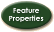 Feature Properties